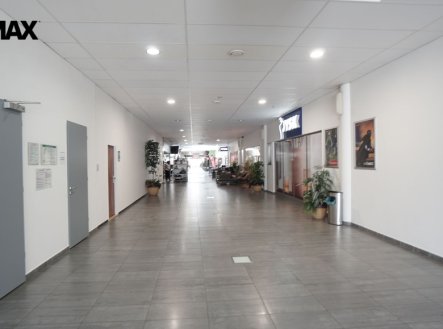 Pronájem kanceláře, 41 m²
