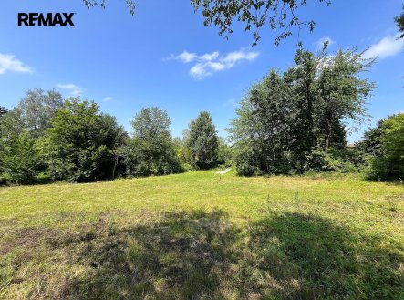 Prodej pozemku pro bydlení, 3 238 m²