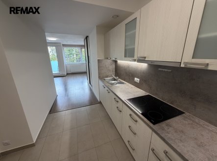 Pronájem bytu, 1+kk, 48 m²