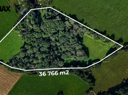 Prodej pozemku, trvalý travní porost, 36 931 m² obrázek