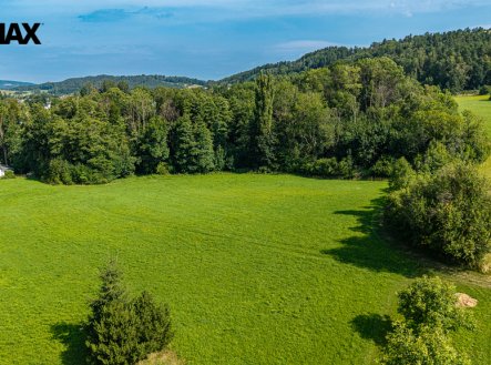 Prodej pozemku, trvalý travní porost, 36 931 m²