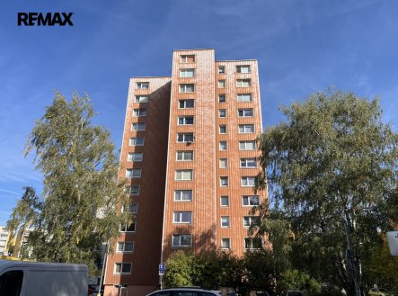 Pronájem bytu, 1+1, 46 m²