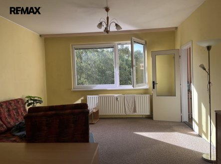 Pronájem bytu, 1+1, 46 m²