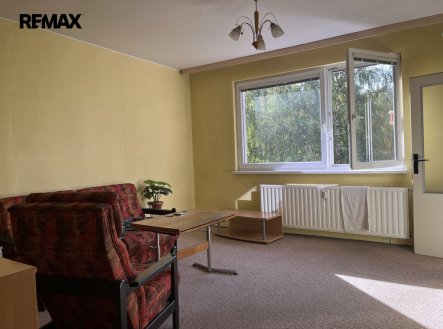 Pronájem bytu, 1+1, 46 m²