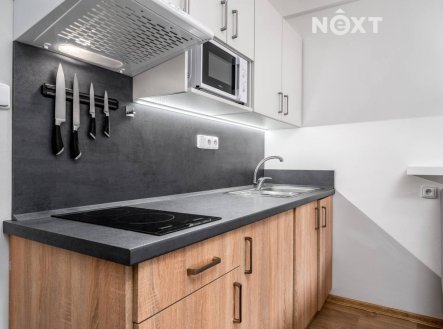 Prodej bytu, 1+kk, 20 m²