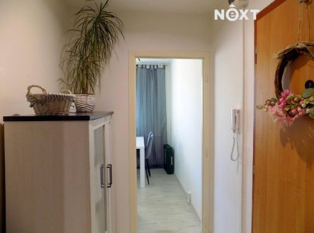 Pronájem bytu, 3+1, 70 m²