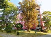 Pronájem bytu, 2+1, 56 m²