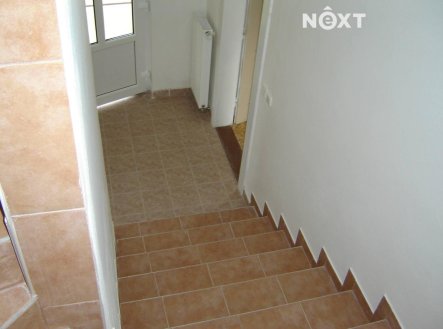 Pronájem kanceláře, 100 m²
