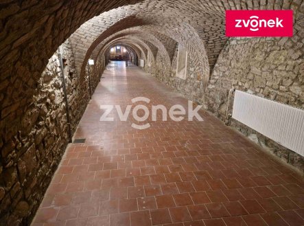 Pronájem obchodní prostory, 650 m²