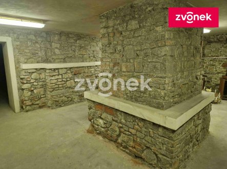 Pronájem obchodní prostory, 650 m²