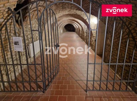 Pronájem obchodní prostory, 650 m²