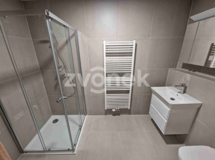 Pronájem bytu, 2+kk, 54 m² obrázek
