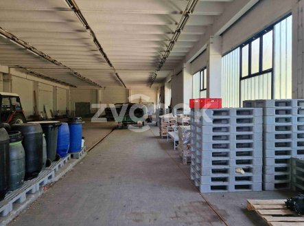 Pronájem komerčního objektu, sklad, 1 000 m²