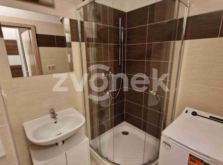 Pronájem bytu, 1+kk, 30 m²