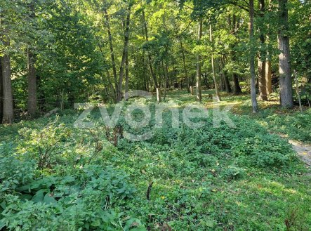 Prodej pozemku, ostatní, 3 756 m²