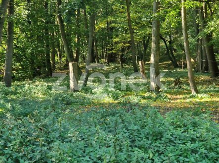 Prodej pozemku, ostatní, 3 756 m²
