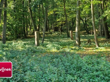 Prodej pozemku, ostatní, 3 756 m²