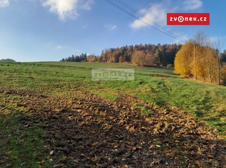 Prodej pozemku, trvalý travní porost, 20 000 m²