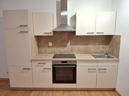 Pronájem bytu, 1+kk, 56 m²