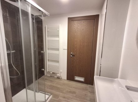 Pronájem bytu, 2+kk, 54 m²
