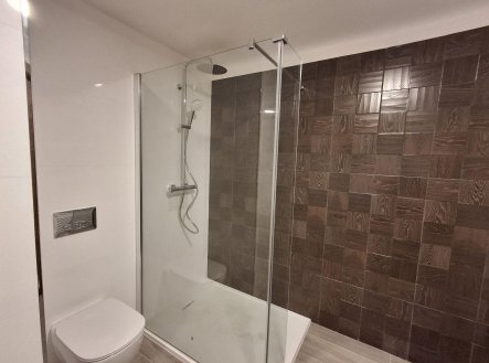 Pronájem bytu, 2+kk, 47 m²