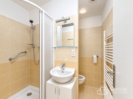 Pronájem bytu, 1+1, 36 m²
