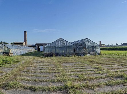 Prodej pozemku, zemědělská půda, 11 704 m²