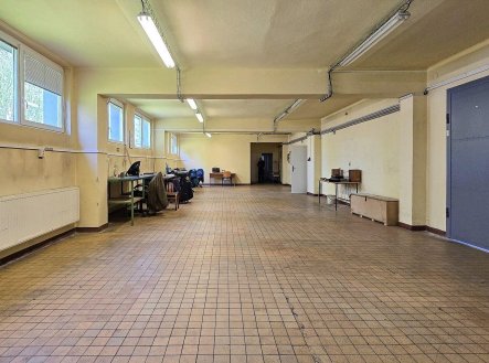 Pronájem obchodní prostory, 442 m²