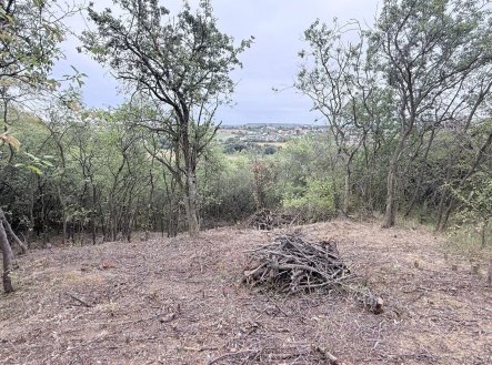 Prodej pozemku, zahrada, 464 m²