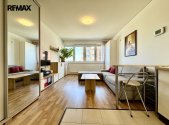 Prodej bytu, 1+kk, 32 m²