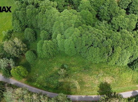 Prodej pozemku, trvalý travní porost, 6 111 m²