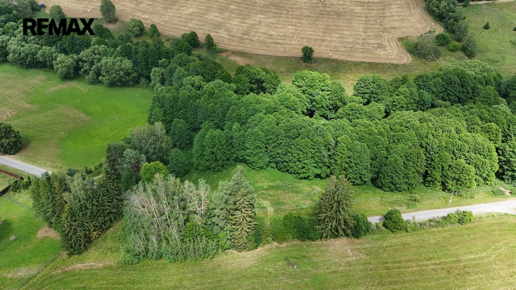 dji-fly-20260713-140058-0582-1783944513336-photo.jpeg