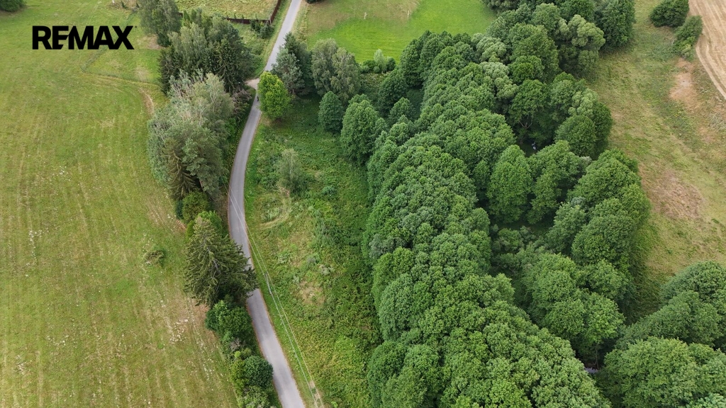 dji-fly-20260713-140126-0584-1783944510906-photo.jpeg