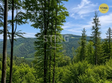 Prodej pozemku, trvalý travní porost, 6 262 m²