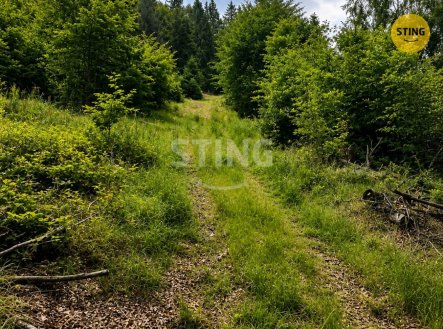Prodej pozemku, trvalý travní porost, 6 262 m²
