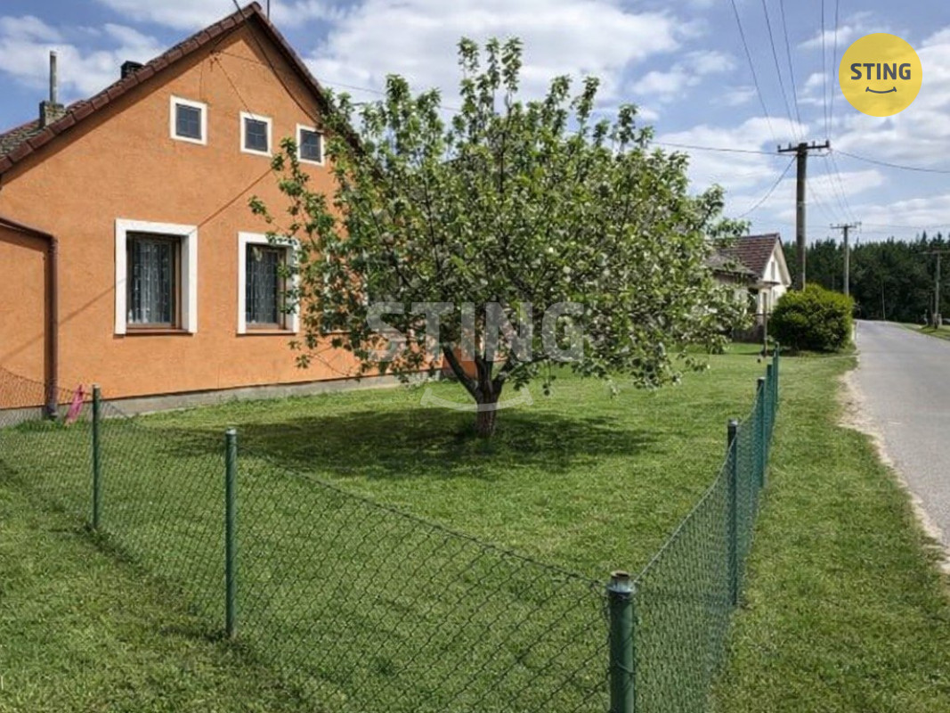 stažený soubor (1).jpeg
