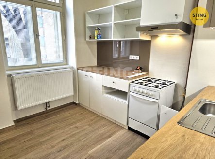 Pronájem bytu, 1+1, 55 m²