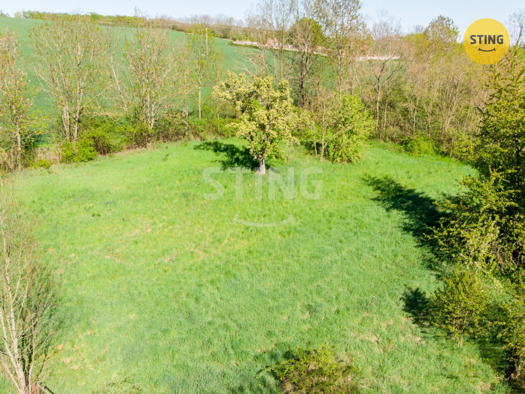 DJI_0736.jpg