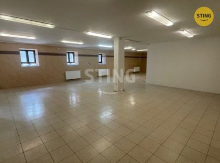 Pronájem skladu, 230 m²
