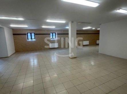 Pronájem skladu, 230 m²