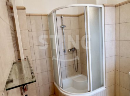 Pronájem bytu, 3+1, 117 m²