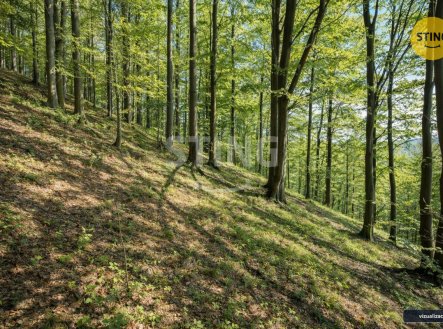 Prodej chaty/rekreačního objektu, 62 m²