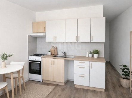 Prodej bytu, 1+1, 43 m²