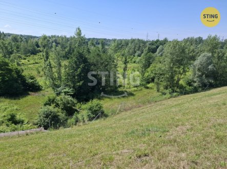 Pronájem pozemku, trvalý travní porost, 29 433 m²
