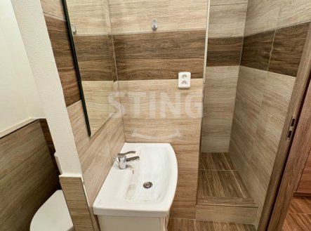 Prodej bytu, 1+kk, 30 m²