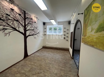 Pronájem obchodní prostory, 44 m²