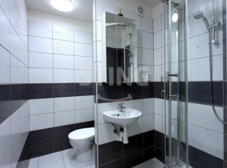 Pronájem bytu, 1+1, 39 m²