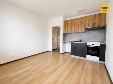 Pronájem bytu, 1+1, 39 m² obrázek