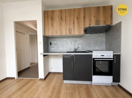 Pronájem bytu, 1+1, 39 m²