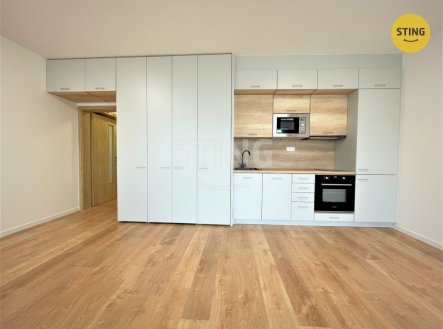 Pronájem bytu, 1+kk, 37 m²